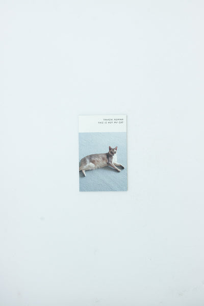 This Is Not My Cat - Takashi Homma