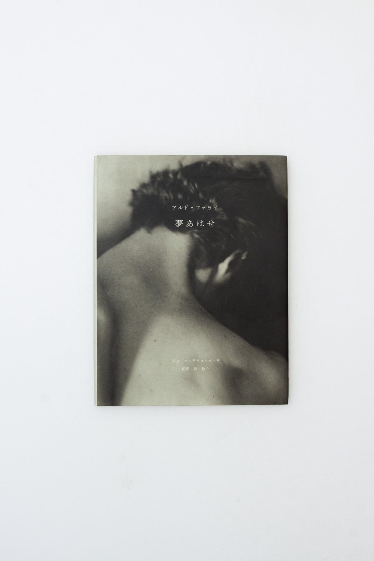 Almost One Year - Aldo Fallai