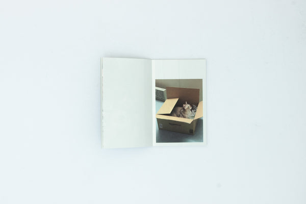 This Is Not My Cat - Takashi Homma