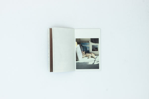 This Is Not My Cat - Takashi Homma