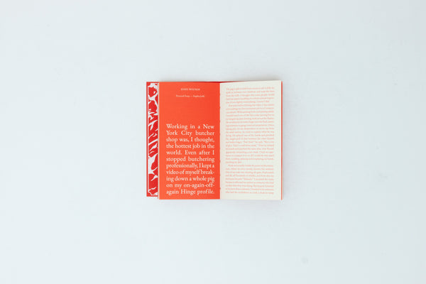 Steak Zine (Cake Zine, Vol 8)