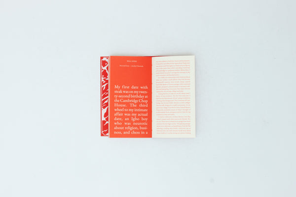 Steak Zine (Cake Zine, Vol 8)