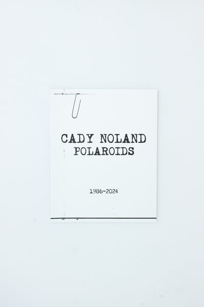 Cady Noland Polaroids 1986-2024