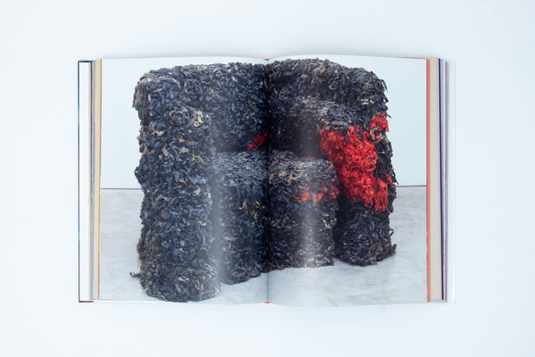 Gaetano Pesce: The Complete Incoherence - Glenn Adamson