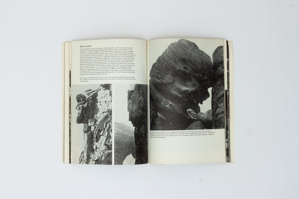 Simulacra. Faces and Figures in Nature.