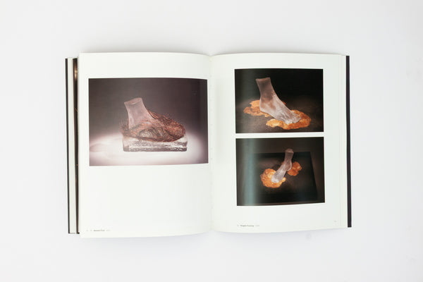 Light and Memory - Liliane Lijn