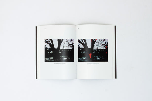 Earthshaker: Ana Mendieta, Derek Jarman & P. Staff