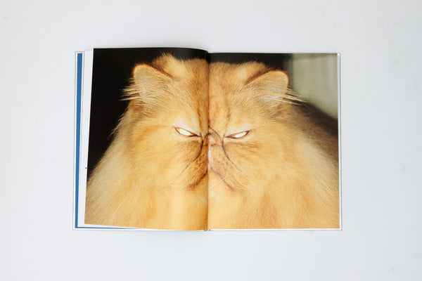 The Best Cat in the World - Felix Swensson & Carl Sander