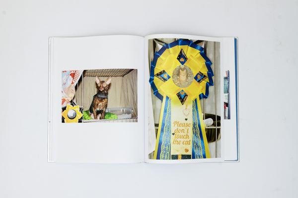 The Best Cat in the World - Felix Swensson & Carl Sander