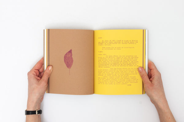 Saborami: Expanded facsimile edition - Cecilia Vicuña