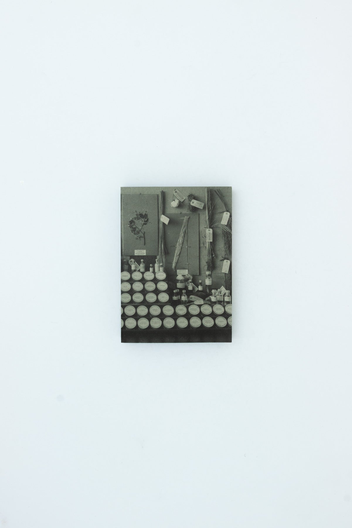 Emptying the Shelves - Tamarah Kerr de Haan, Clémentine Deliss and Mirjam Shatanawi