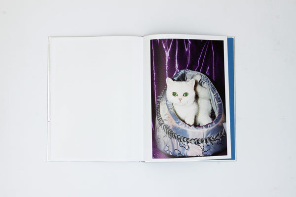 The Best Cat in the World - Felix Swensson & Carl Sander