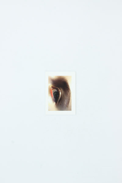 Eyes - Inge Grognard, Tom Engels & Julie Peeters