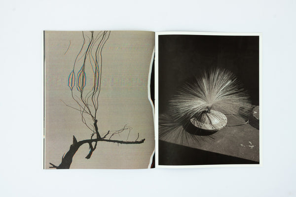 Ripples in the Pond - Bharat Sikka