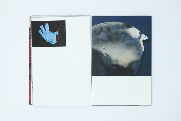 Dataset of Loss - Fabienne Hess