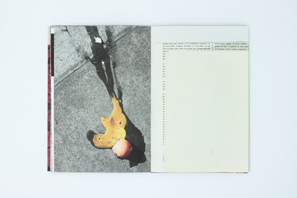 Dataset of Loss - Fabienne Hess