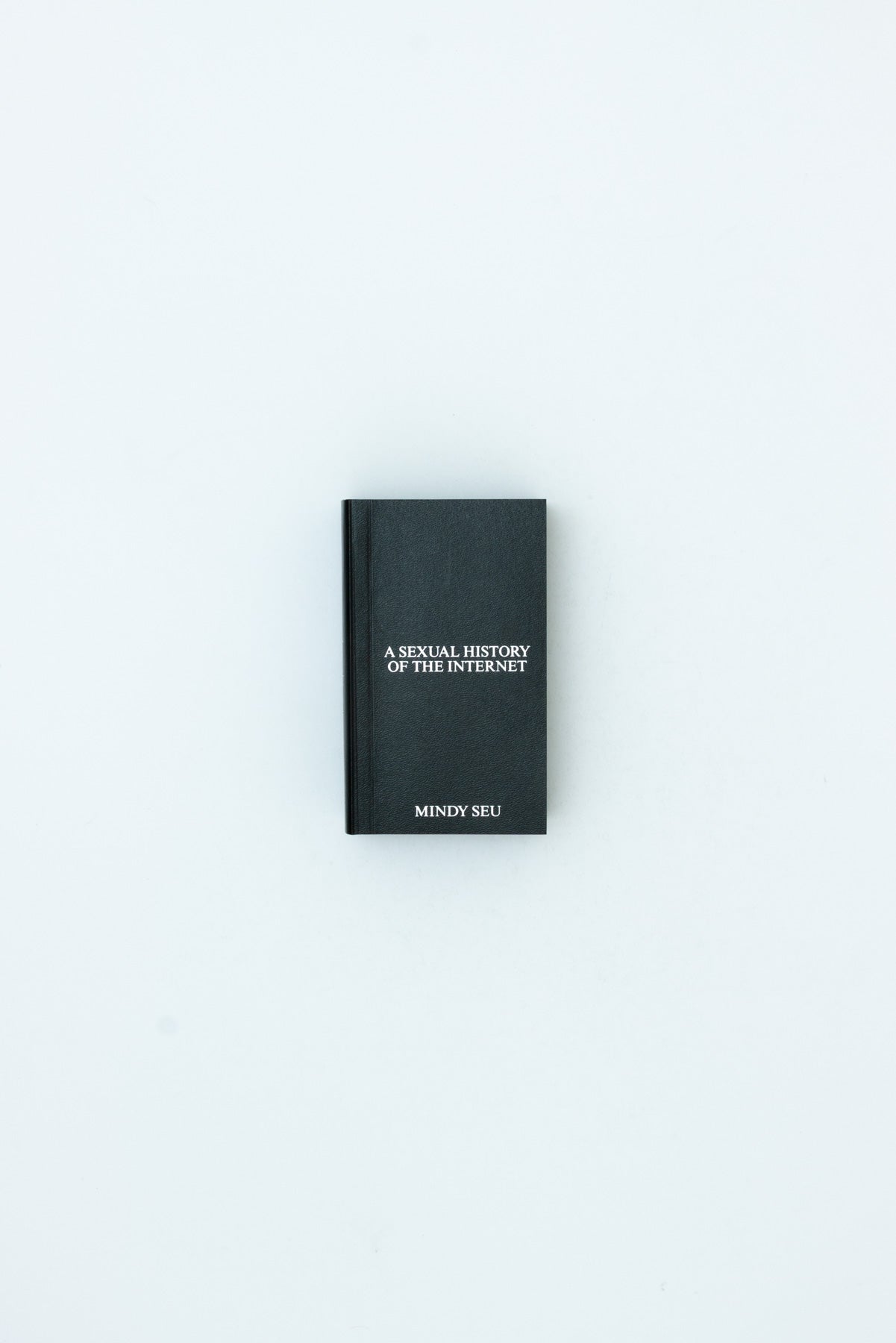 A Sexual History of the Internet - Mindy Seu