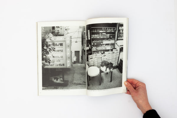 Neko manma 'The Cat is Beautiful' Photobook