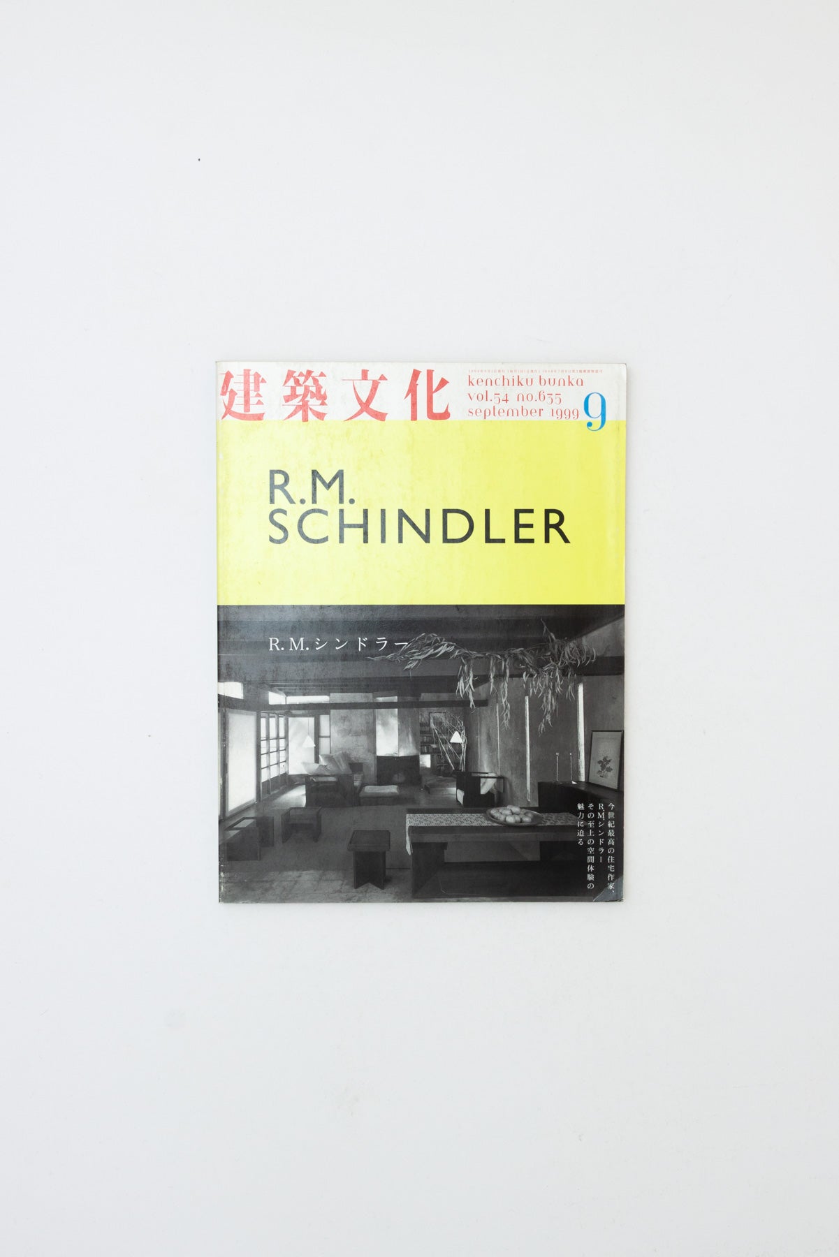 R.M. Schindler.