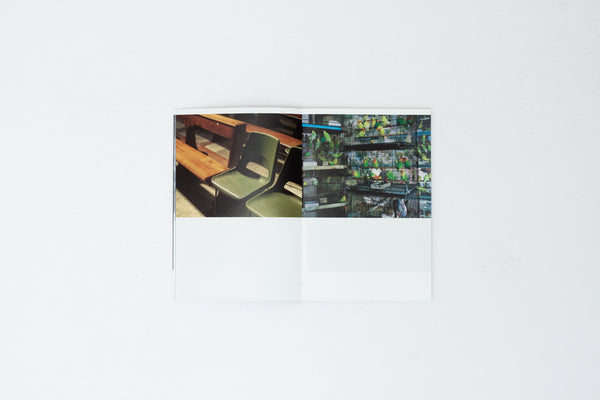 What Remains Is All I See - Kalpesh Lathigra