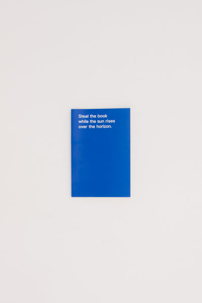 How to shoplift books - David Horvitz